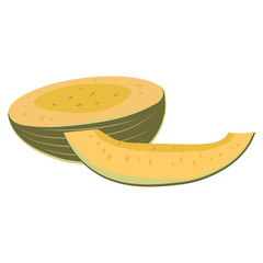 Simple Color Melon. Summer fruit
