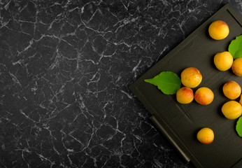 RIPE APRICOTS LYING ON THE BLACK TRAY ON DARK BACKGROUND