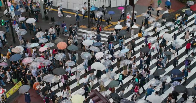 People cross the road in Ikebukuro district in city at rain day