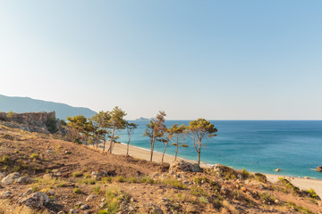 Fototapeta na wymiar Pine trees on Mavikent beach, Mediterrenian sea, Turkey
