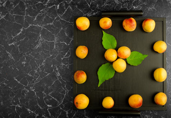 RIPE APRICOTS LYING ON THE BLACK TRAY ON DARK BACKGROUND