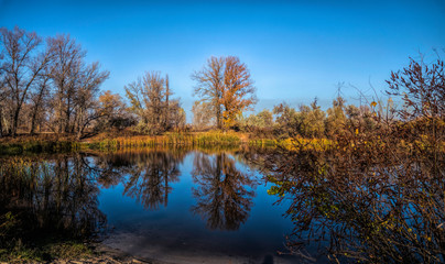 Fototapeta na wymiar Beautiful autumn landscape. Trees reflected in the water of the lake 