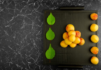 RIPE APRICOTS LYING ON THE BLACK TRAY ON DARK BACKGROUND