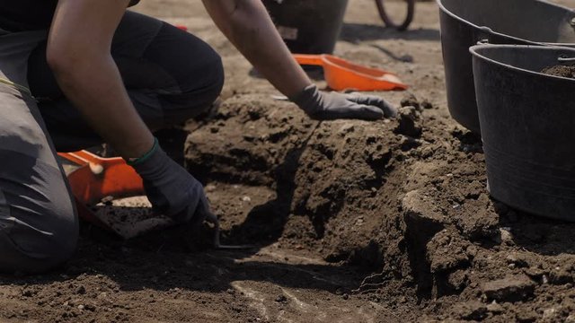 working in an archaeological site. Archaeologists' hands dig