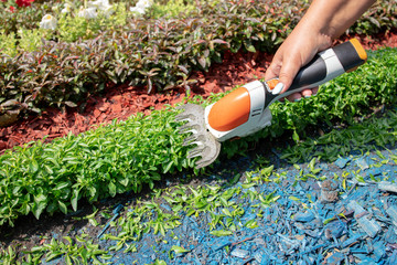 female person working at garden with electric portable scissors. trimming flowers at backyard. gardening concept.