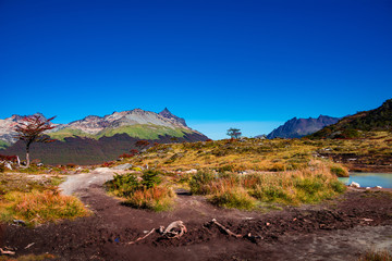 Panoramic view of magical colorful fairytale forest at Tierra del Fuego National Park, Patagonia, Argentina, Autumn time, blue sky