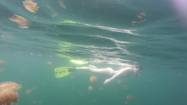 Go Pro Underwater Snorkeling with jellyfish, Jellyfish Lake, Palau, Caroline Islands, Micronesia, Pacific