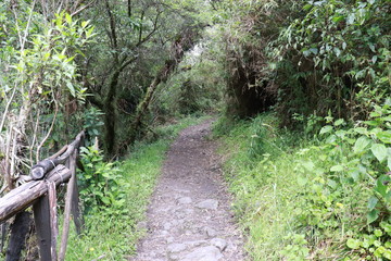camino