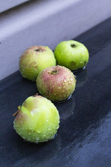 Wet apples on the black background. Drops of water. Green and red fruits.