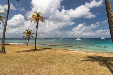 Saint Vincent and the Grenadines, Britannia bay beach, coconut palms, Mustique