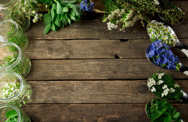 Fresh medicinal herbs. Medicinal herbs (chamomile, wormwood, yarrow, mint, St. John's wort and chicory) on an old wooden board. View from above. Copy space