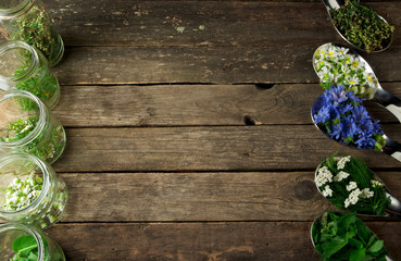 Fresh medicinal herbs. Medicinal herbs (chamomile, wormwood, yarrow, mint, St. John's wort and...