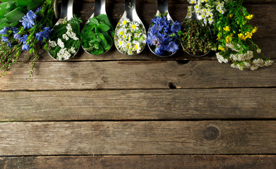 Fresh medicinal herbs. Medicinal herbs (chamomile, wormwood, yarrow, mint, St. John's wort and chicory) on an old wooden board. View from above. Copy space