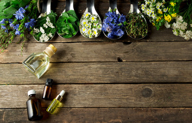 Fresh medicinal herbs. Medicinal herbs (chamomile, wormwood, yarrow, mint, St. John's wort and...