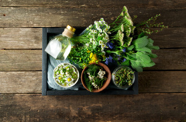 Fresh medicinal herbs. Medicinal herbs (chamomile, wormwood, yarrow, mint, St. John's wort and...