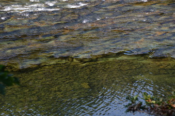 Umpqua River, Oregon