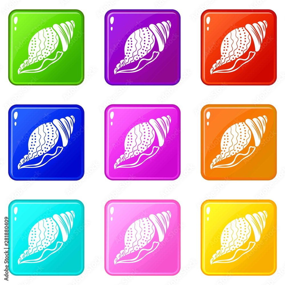 Poster nature shell icons set 9 color collection isolated on white for any design