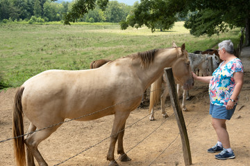 Lady petting a horse on the nose dressed in a flowery blouse