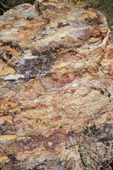 Colorful rough vertical rock face abstract background texture