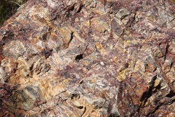 Macro detail of rough natural rock texture with variegated colors