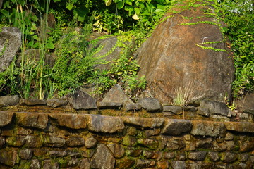 公園のカワセミと風景