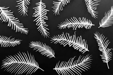 White hand cut paper spiky palm plant leaves on black background. Botanical pattern.