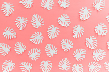 Pattern with many handmade paper cut tropical plant Monstera leaves on bright pink background.