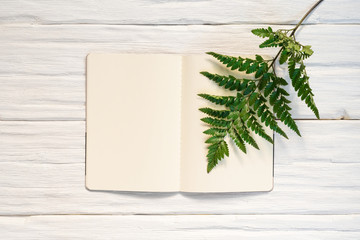 Blank page open book with copy space and a green fern leaf on a white wooden table background.