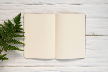 Blank page open book with copy space and a green fern leaf on a white wooden table background.