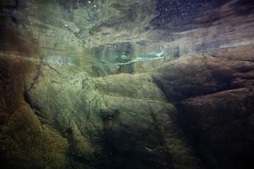 Underwater picture of the river in the rocky canyon on top of a waterfall. Taken in Lynn Valley, North Vancouver, British Columbia, Canada.