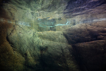 Underwater picture of the river in the rocky canyon on top of a waterfall. Taken in Lynn Valley, North Vancouver, British Columbia, Canada.
