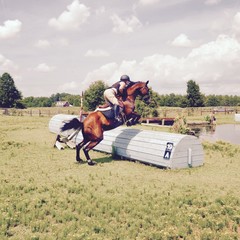 large obstacle horse jump
