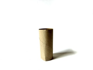 Empty toilet paper roll on white background