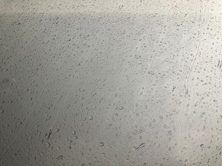 texture of white wall