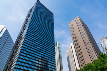 Fototapeta na wymiar (東京都ｰ都市風景)夏空の下の新宿高層ビル群１１