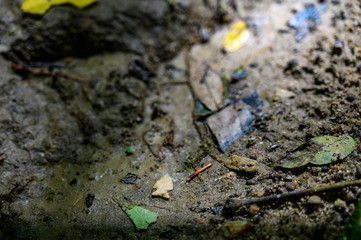 Native American Indian bird point arrowhead in creek bed 