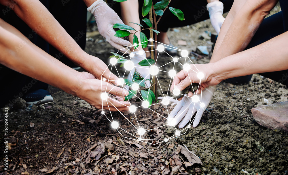 Wall mural People planting trees To protect the environment The concept of the world