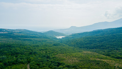 Beauty nature landscape Crimea with tree forest, roads, horizontal photo