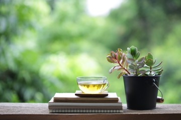 Greentea in transpalent glass and diary notebook with tree plant pot on wooden table