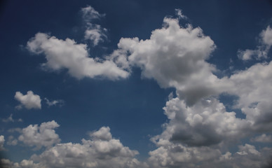 Fototapeta na wymiar white cloud on the blue sky 