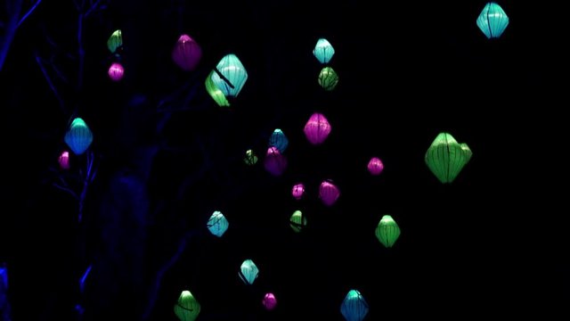 Beautiful winter Christmas decorations garlands and neon holiday lights. Light festival  in Toronto, Ontario, Canada, amusement park, Ontario place theme park. A lot of light bulbs. Slow motion.