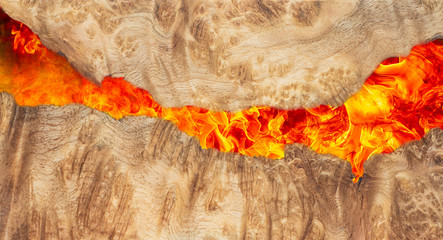 Casting epoxy resin Stabilizing Leza burl wood