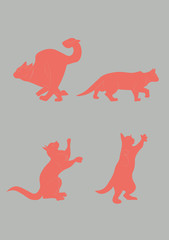 Print coral cat ilustration silhouette
