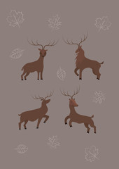 ilustration deer