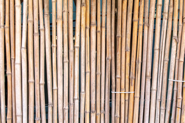 An urban bamboo fence background