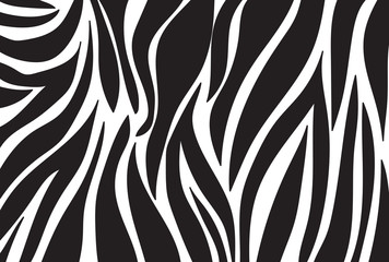Fototapeta na wymiar zebra pattern. vector background 