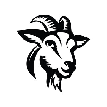 head goat front view drawing art logo design inspiration