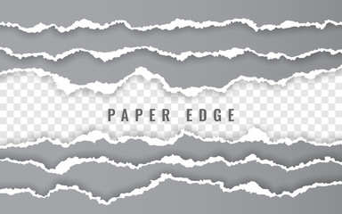 Torn paper edge. Ripped squared paper strips. Vector illustration