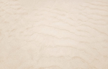 Sand beach texture background. Nature concept. Close up