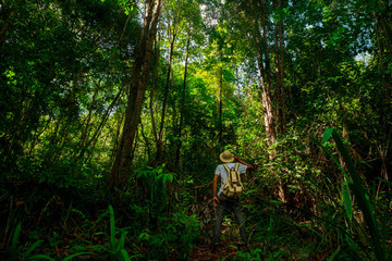 a man Traveler with backpack hiking Travel Lifestyle concept forest on background summer journey vacations outdoor in tropical forest of Thailand,Phang nga,koh yao yai
